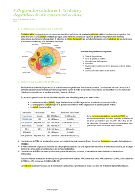 4.Órganulos celulares I. Síntesis y degradación de macromoléculas.pdf