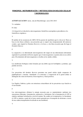 autoevaluación teoría 2012-2013.pdf