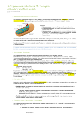 5.Órganulos celulares II. Energía celular y metabolismo.pdf