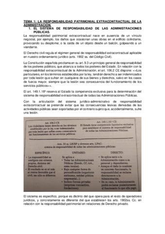 TEMA-1-DERECHO-ADMINISTRATIVO-II.pdf