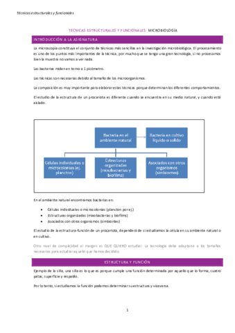Apuntes-TEF.pdf