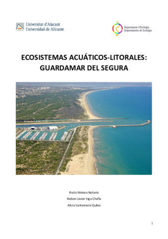 INFORME-GUARDAMAR-FINAL.pdf