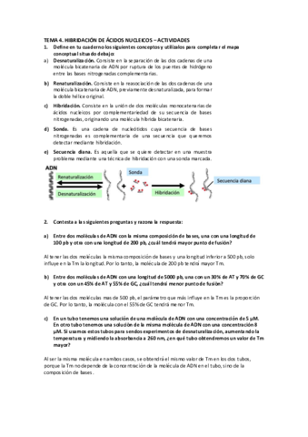 Tema-4-BMC-Actividades.pdf