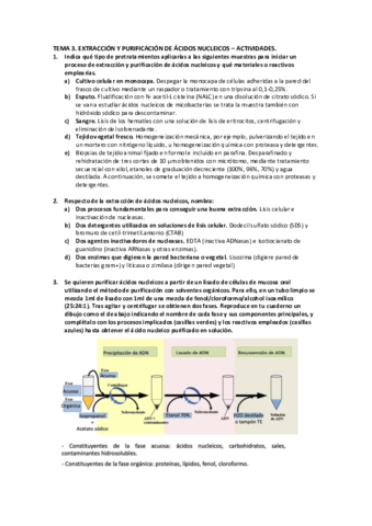 Tema-3-BMC-Actividades.pdf