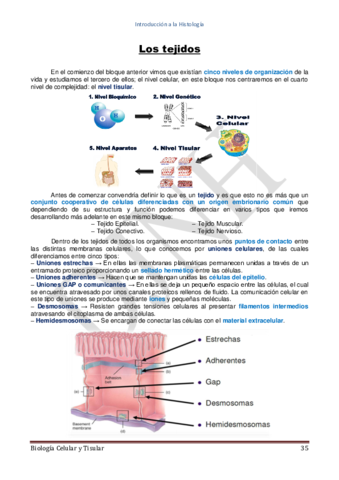 Bloque-IIHistologia.pdf