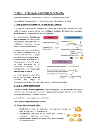 TEMA-1-convertido.pdf
