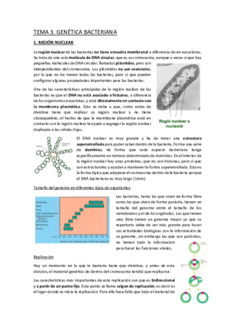 TEMA-3.pdf