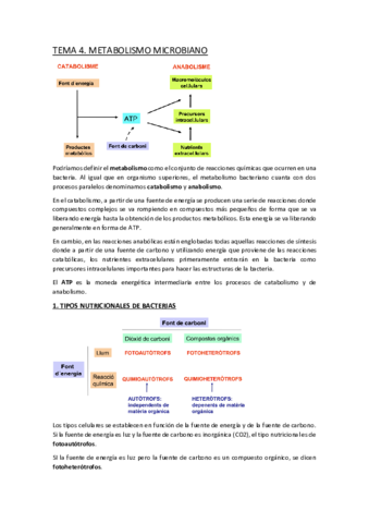 TEMA-4.pdf