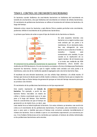 TEMA-5.pdf