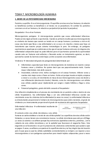 TEMA-7.pdf