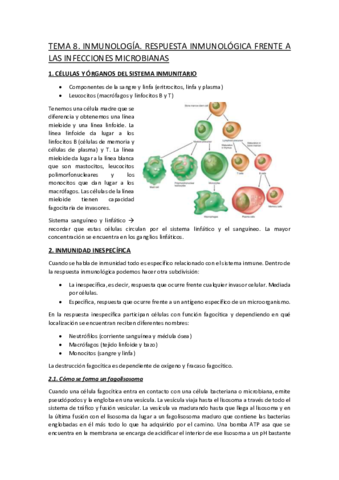 TEMA-8.pdf