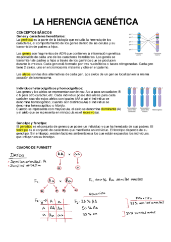 Biología (Herencia genética) 