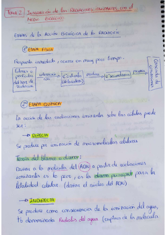 ETAPAS-DE-LA-ACCION-BIOLOGICA-DE-LA-RADIACION.pdf