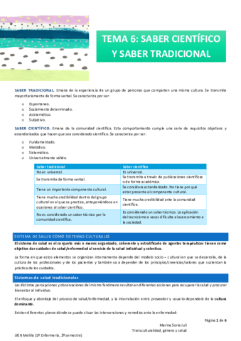 T6-Transculturalidad.pdf