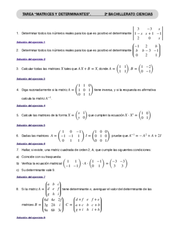 Tarea-matrices-y-determinantes.pdf