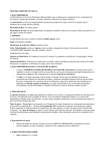 SEGUNDA PARTE TECNICAS.pdf