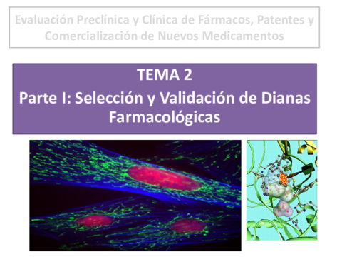 TEMA-2parte-1dianas-farmacologicascon-comentarios-en-espanol.pdf