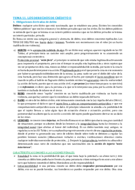 TEMA 11.pdf