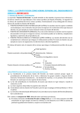 TEMA 1.pdf