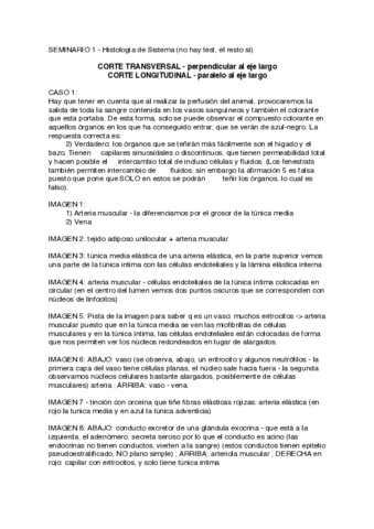SEMINARIO-1-Histo.pdf