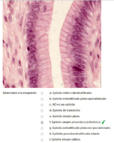 Captura-de-pantalla-2011-03-14-a-las-19.png