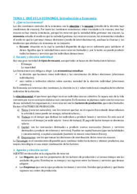 TEMA 1.pdf