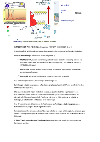 PREGUNTAS IMPORTANTES PRIMER PARCIAL.pdf