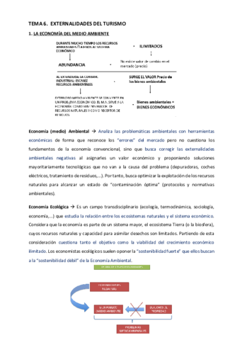 Tema-6-Externalidades-del-turismo.pdf