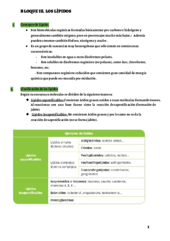 BLOQUE-III.pdf