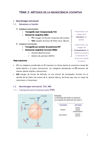 TEMA-3.pdf