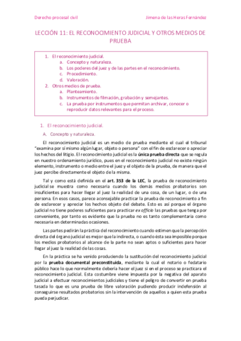 Leccion-11-El-reconocimiento-judicial-y-otros-medios-de-prueba.pdf