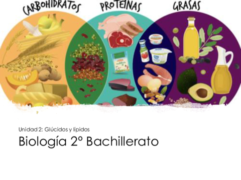 Tema-2-Glucidos-y-lipidos.pdf