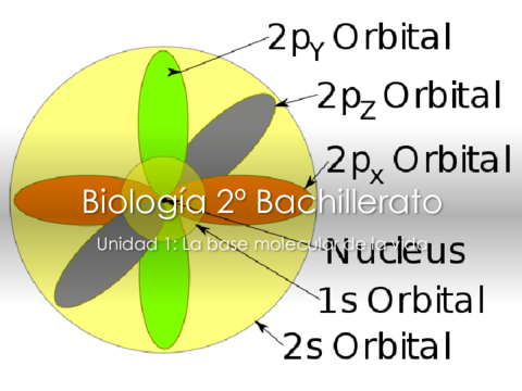 Tema-1-La-base-bq-de-la-vida.pdf