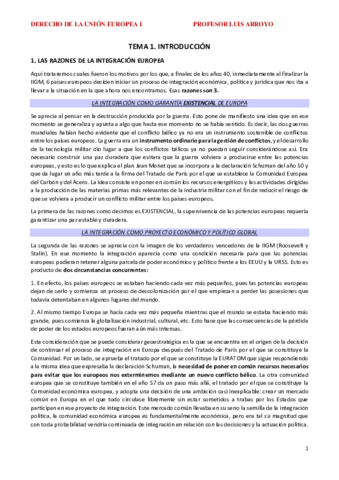 TODO-EL-TEMARIO-UNIFICADO-EUROPEO.pdf