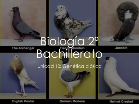 Tema-10-Genetica-Clasica.pdf