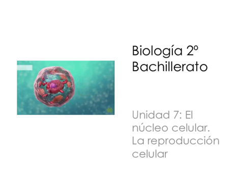 Tema-7-El-nucleo-copia.pdf