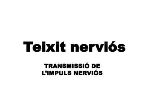 teixits-animals-2.pdf