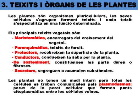 teixits-vegetals.pdf