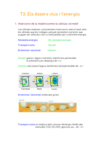 T3-i-5.pdf