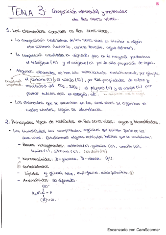 PASCUAL-Apuntes-1er-parcial-T3-T10.pdf