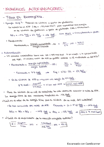 Problemas-T14-T20.pdf