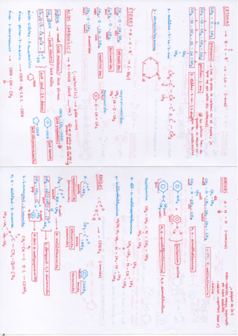 Resumen-Formulacion-Organica-.pdf