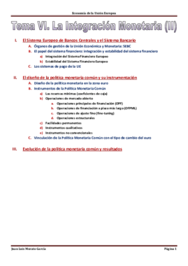 Tema VI. La Integración Monetaria (II).pdf