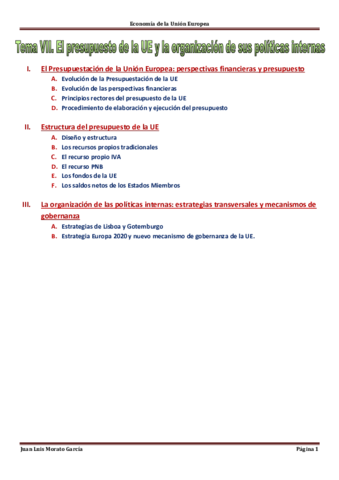 Tema VII. El presupuesto de la UE y la organización de sus políticas internas.pdf