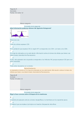 EXAMEN-ONLINE-PRACTICAS.pdf