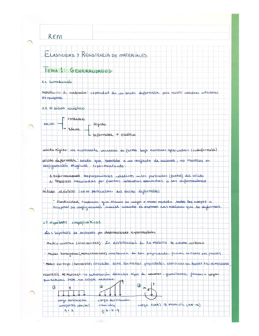 Apuntes-Rem.pdf