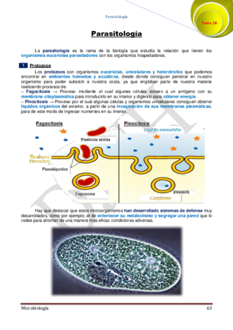 18.pdf