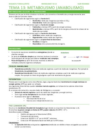 tema-13-parte-3.pdf