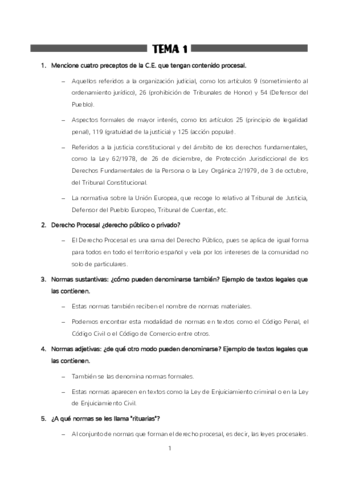 PREGUNTAS-DERECHO-PROCESAL.pdf