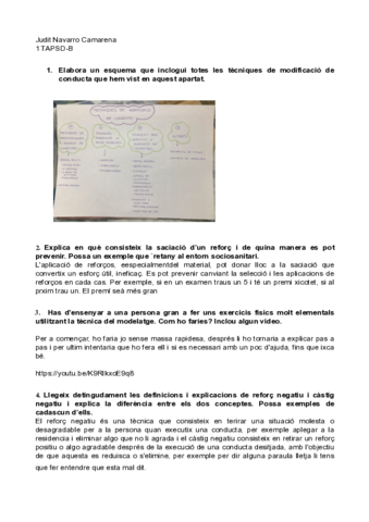 AAP-fitxa.pdf